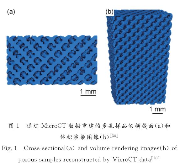 鈦合金在骨科植入領(lǐng)域的研究進展 鈦合金在骨科植入領(lǐng)域的研究進展