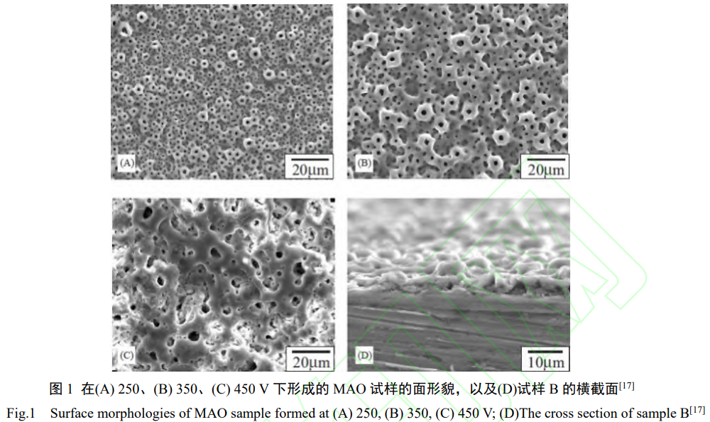 微弧氧化制備醫用鈦合金生物復合涂層研究進展