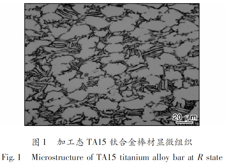 1695286836322165.jpg 1660484666664697.jpg