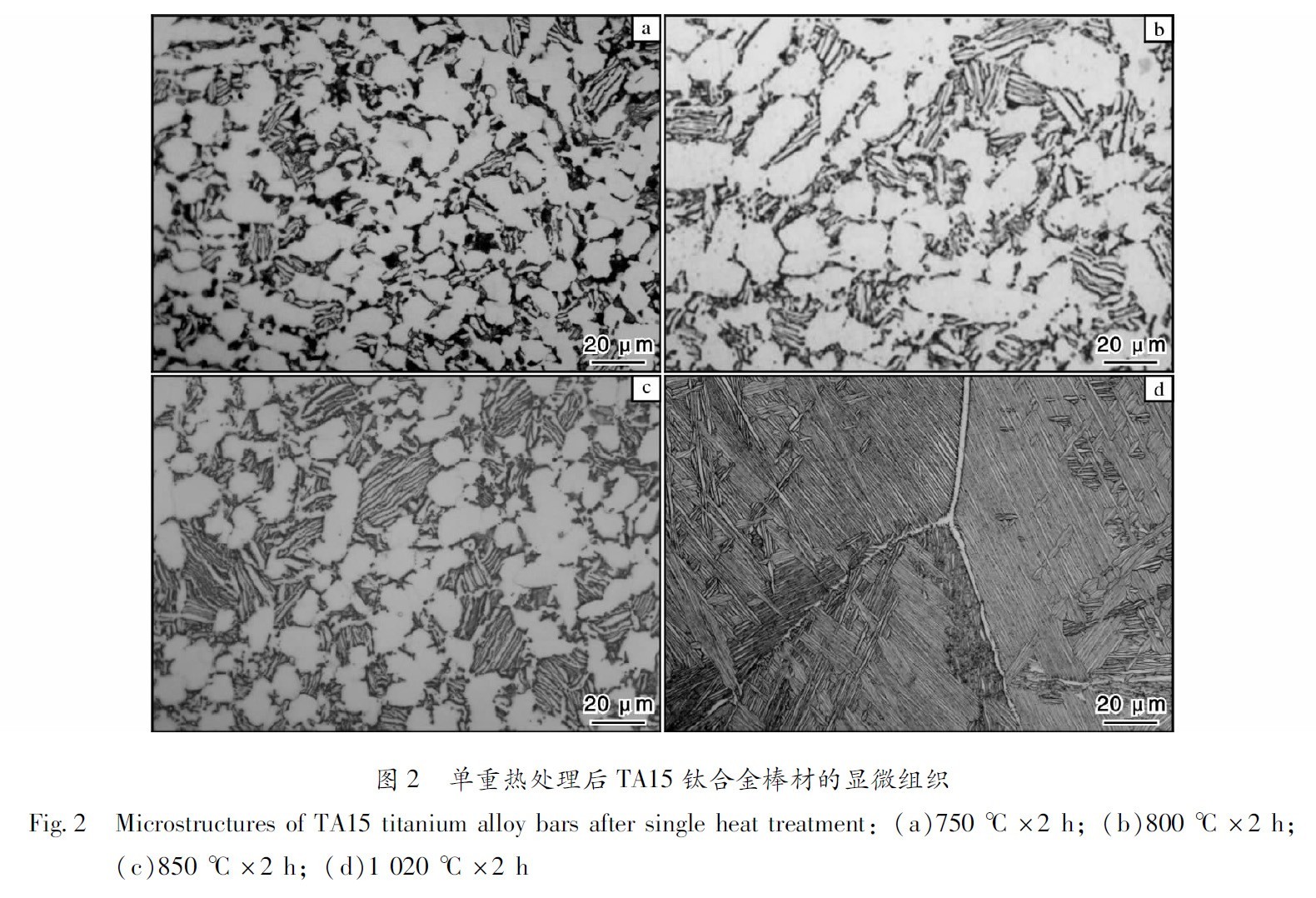 1695286847887833.jpg 1660484685948099.jpg