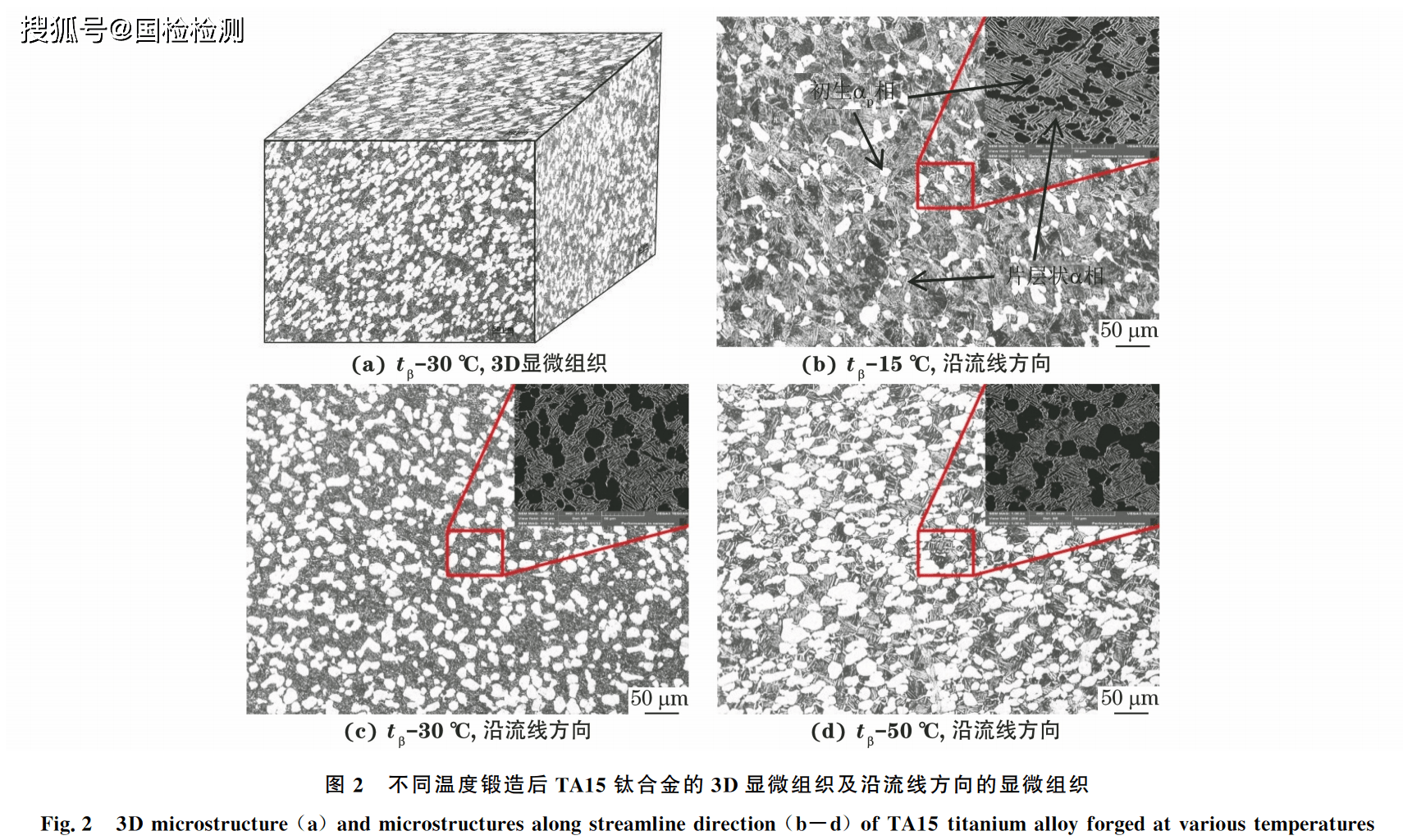 1695593880752109.png t2.png