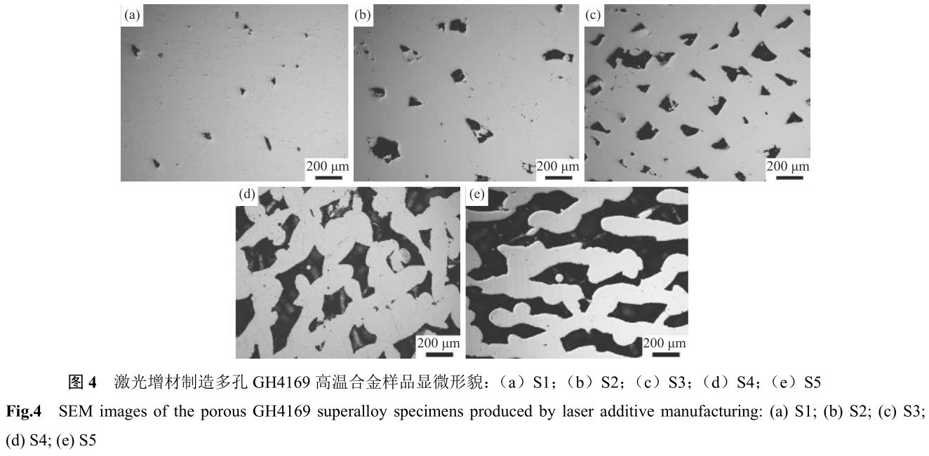 1701037938987930.jpg t4.jpg