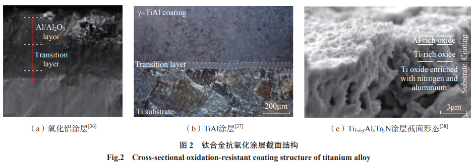 1681567771936817.jpg 1664091179195374.jpg