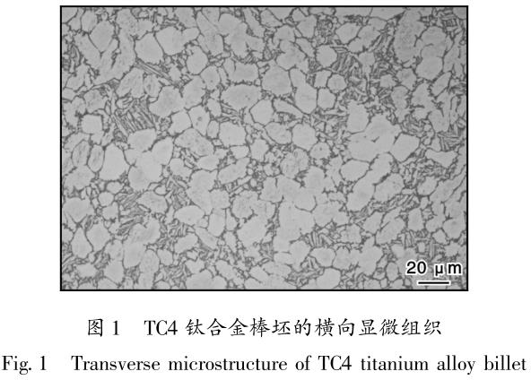 1695714243867723.jpg t1.jpg