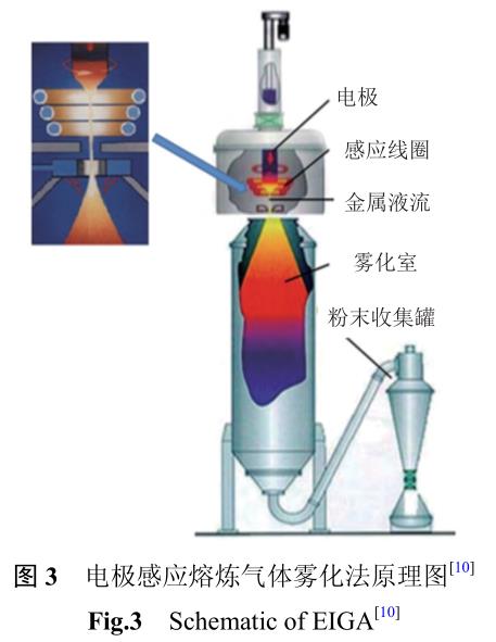 1708140046619148.jpg t3.jpg