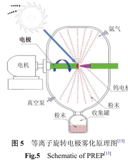 1708140064788847.jpg t5.jpg