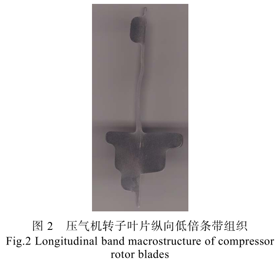 1713672473933231.jpg t2.jpg