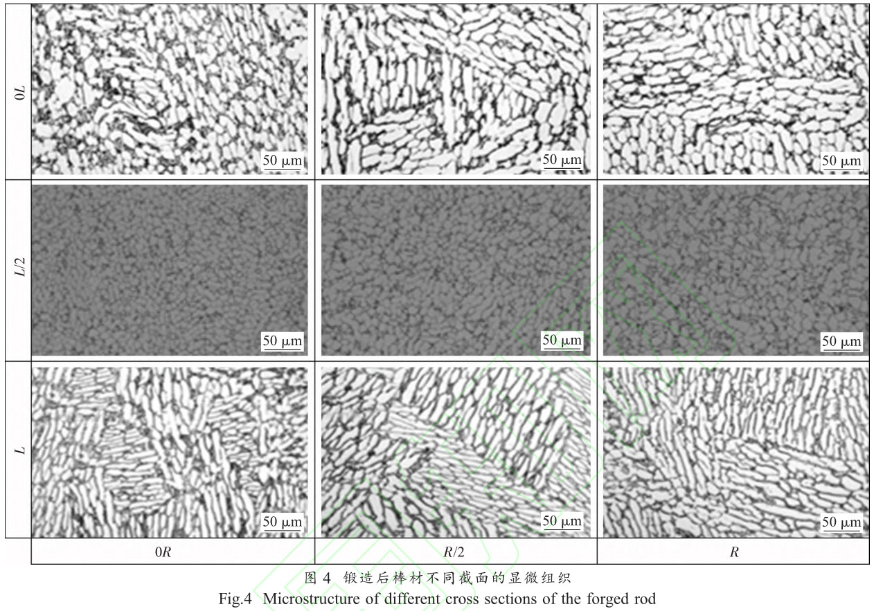 1716196706444913.jpg 未標題-2.jpg