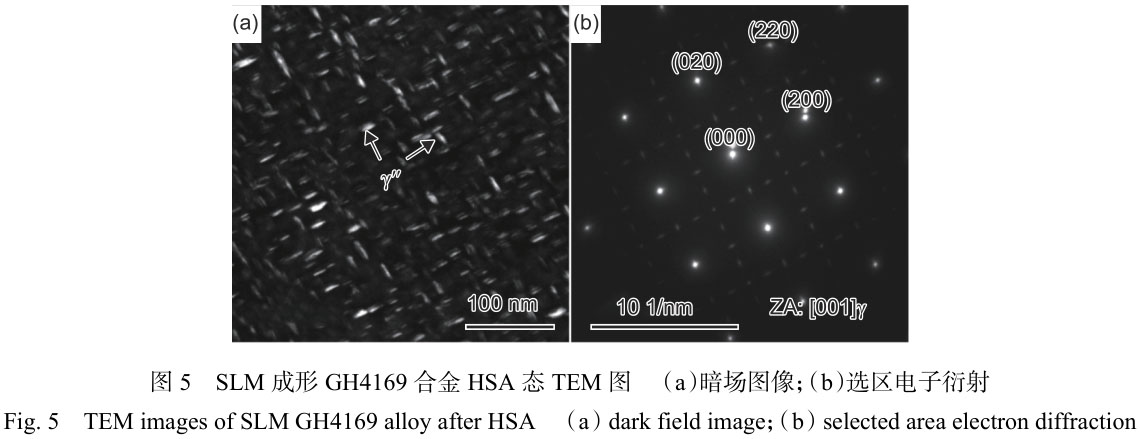 1716285226567646.jpg 未標題-3.jpg