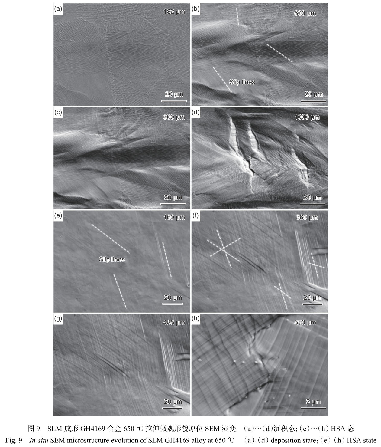 1716285275387713.jpg 未標題-8.jpg