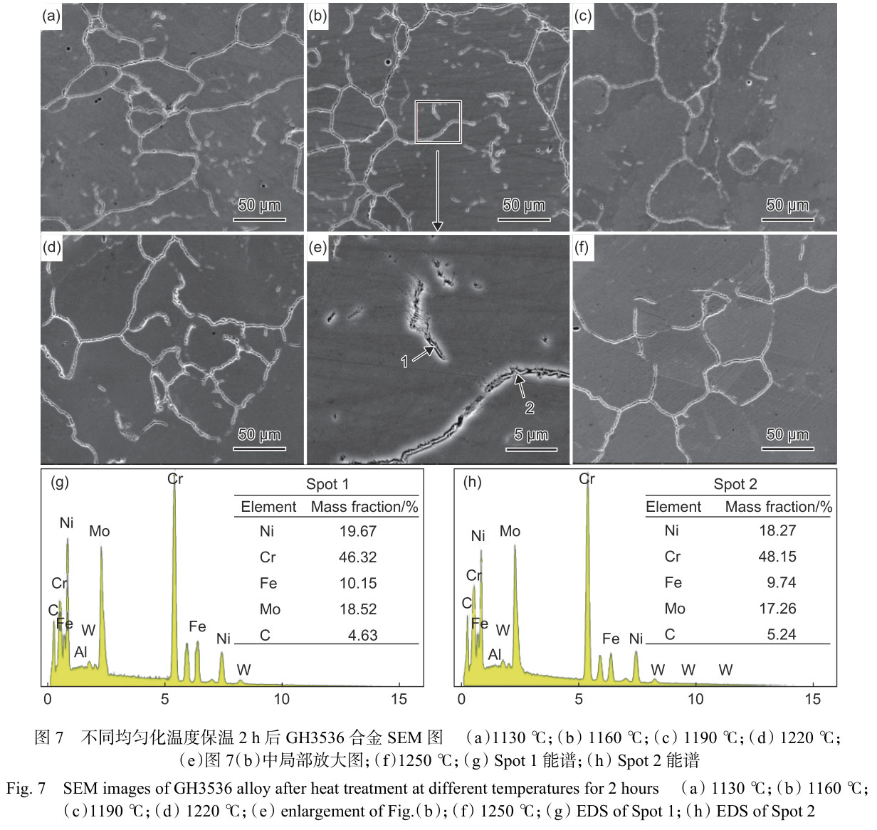 1716295741253323.jpg 未標(biāo)題-3.jpg