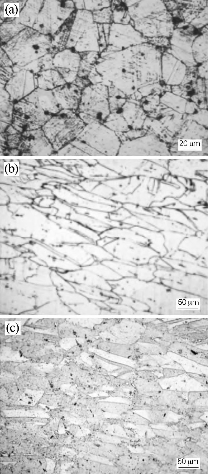 1716341474483173.jpg 7.jpg