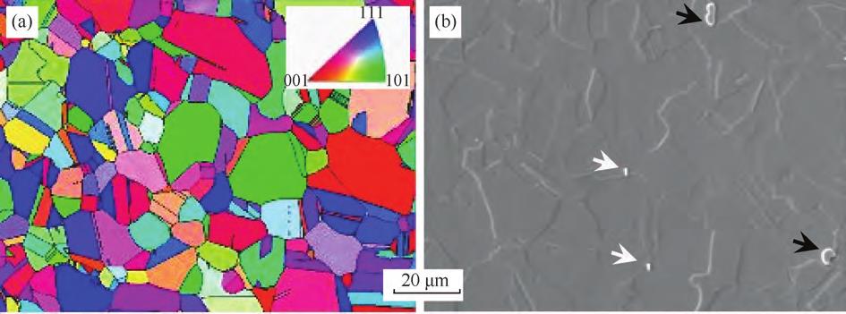 1716370335378176.jpg 2.jpg