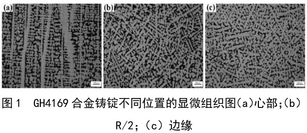 1716603275538641.jpg t1.jpg