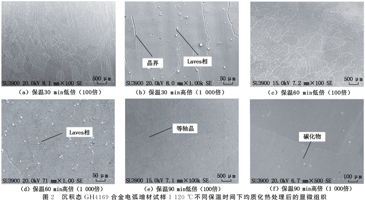 1716626870968000.jpg 未標(biāo)題-2.jpg