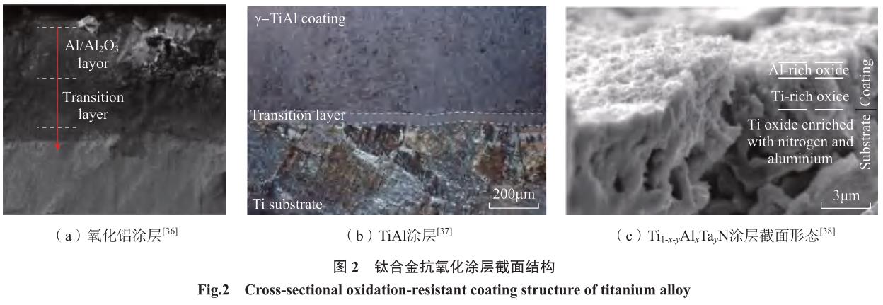 1720755960429165.jpg 360截圖165110035610079.jpg