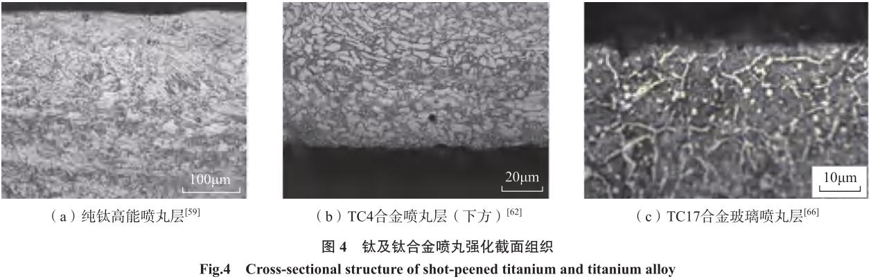 1720755981477016.jpg 360截圖16630502556177.jpg