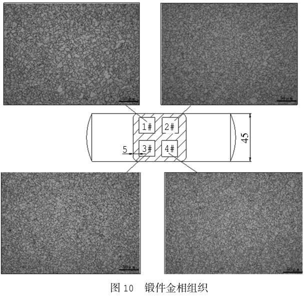 1720861730812025.jpg t10.jpg