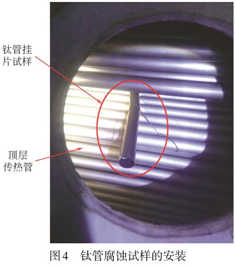 1721913399338501.jpg t4.jpg